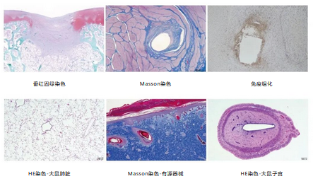 新葡萄8883官网AMG(中国)股份有限公司